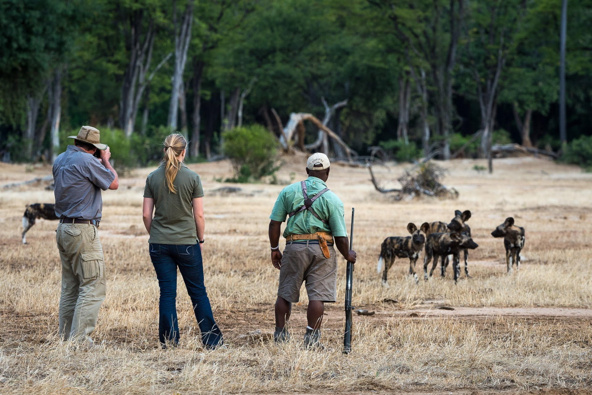 Walking Safaris, Best Safari Activities to Experience in Africa