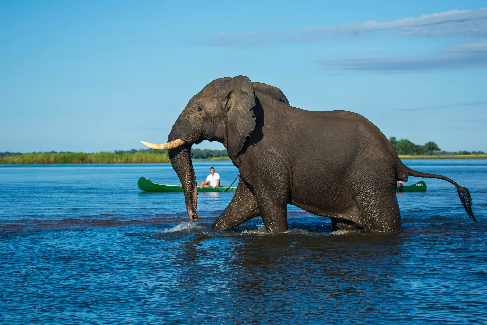 MANA POOLS