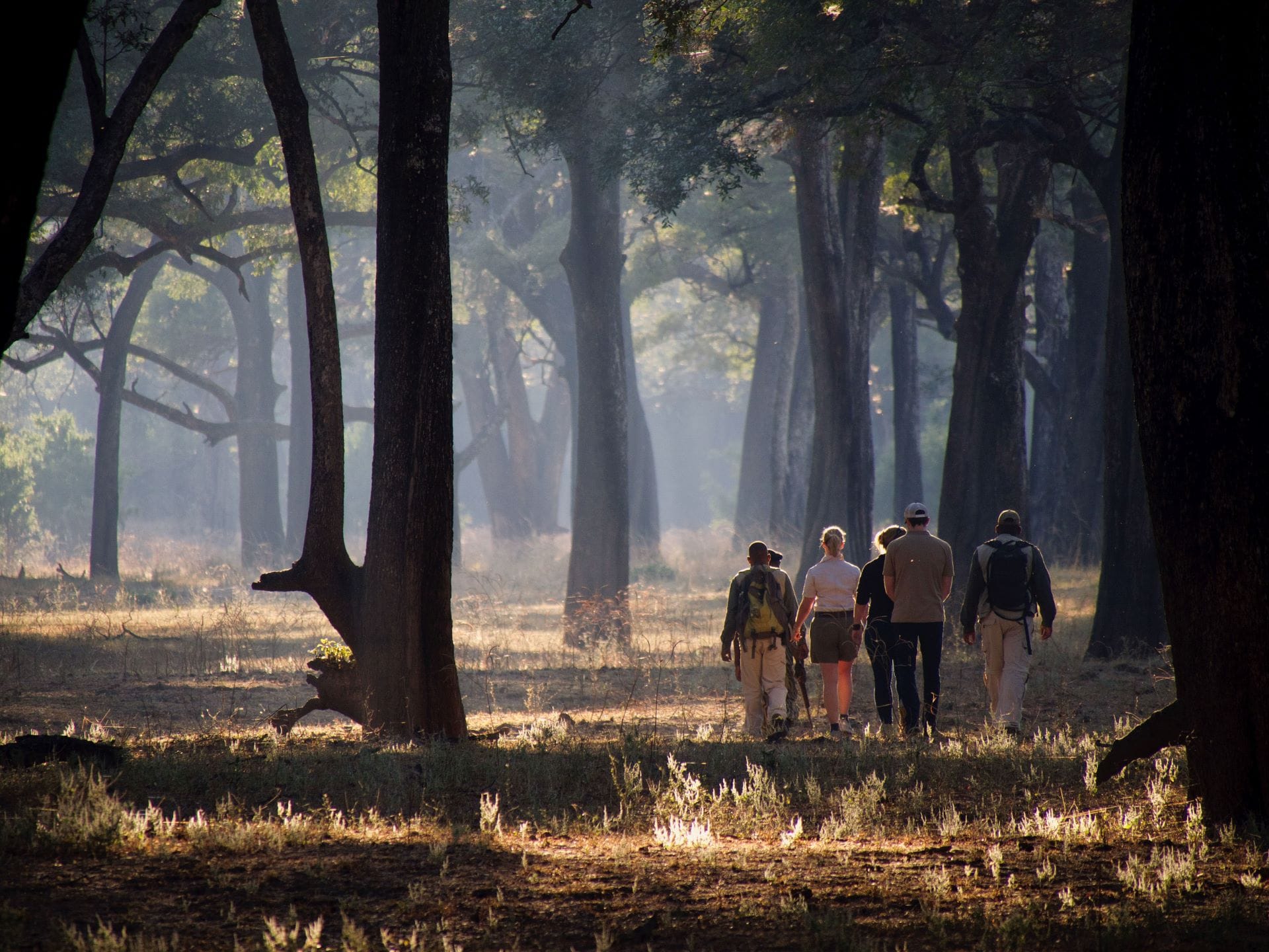 Snyman Private Safaris