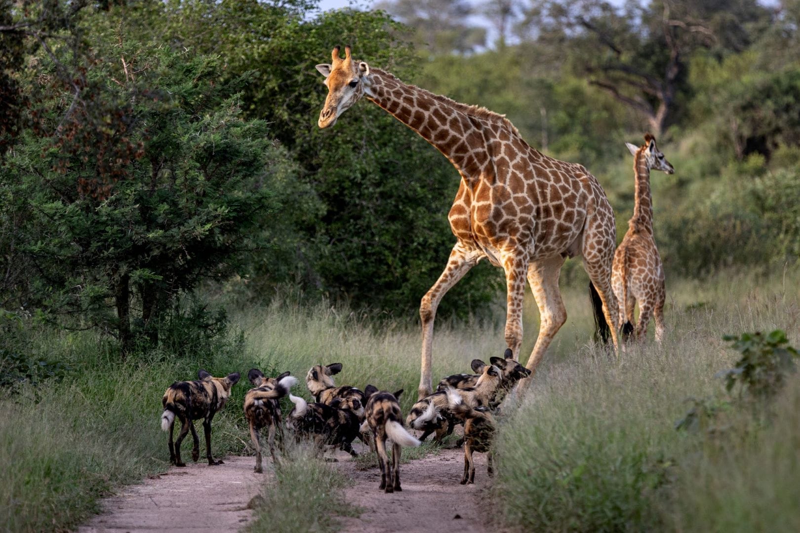 340005434_554259703441362_3554675858809216413_n