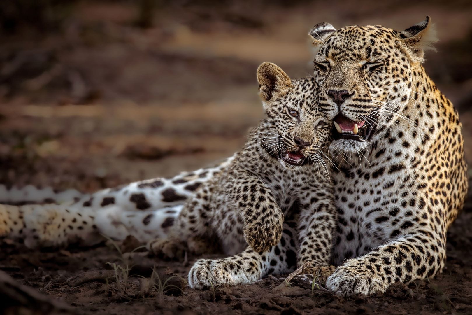 342520468_170169048942947_7595983210462197451_n