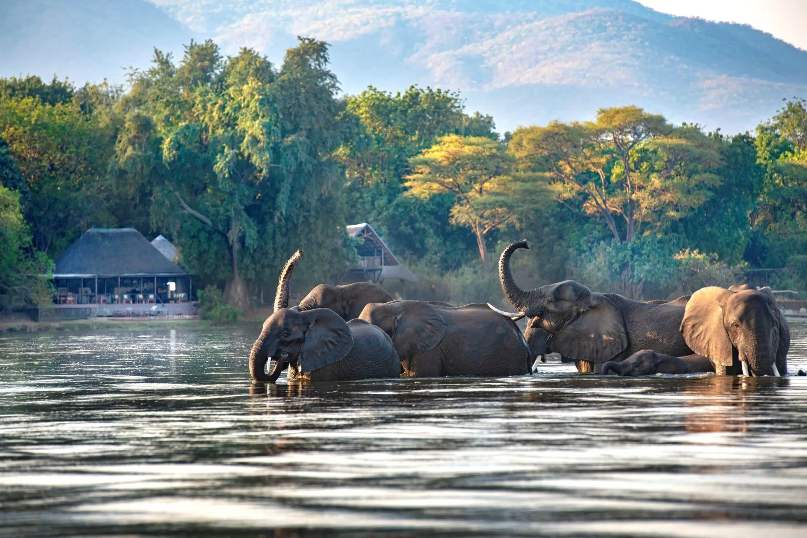 Zambia