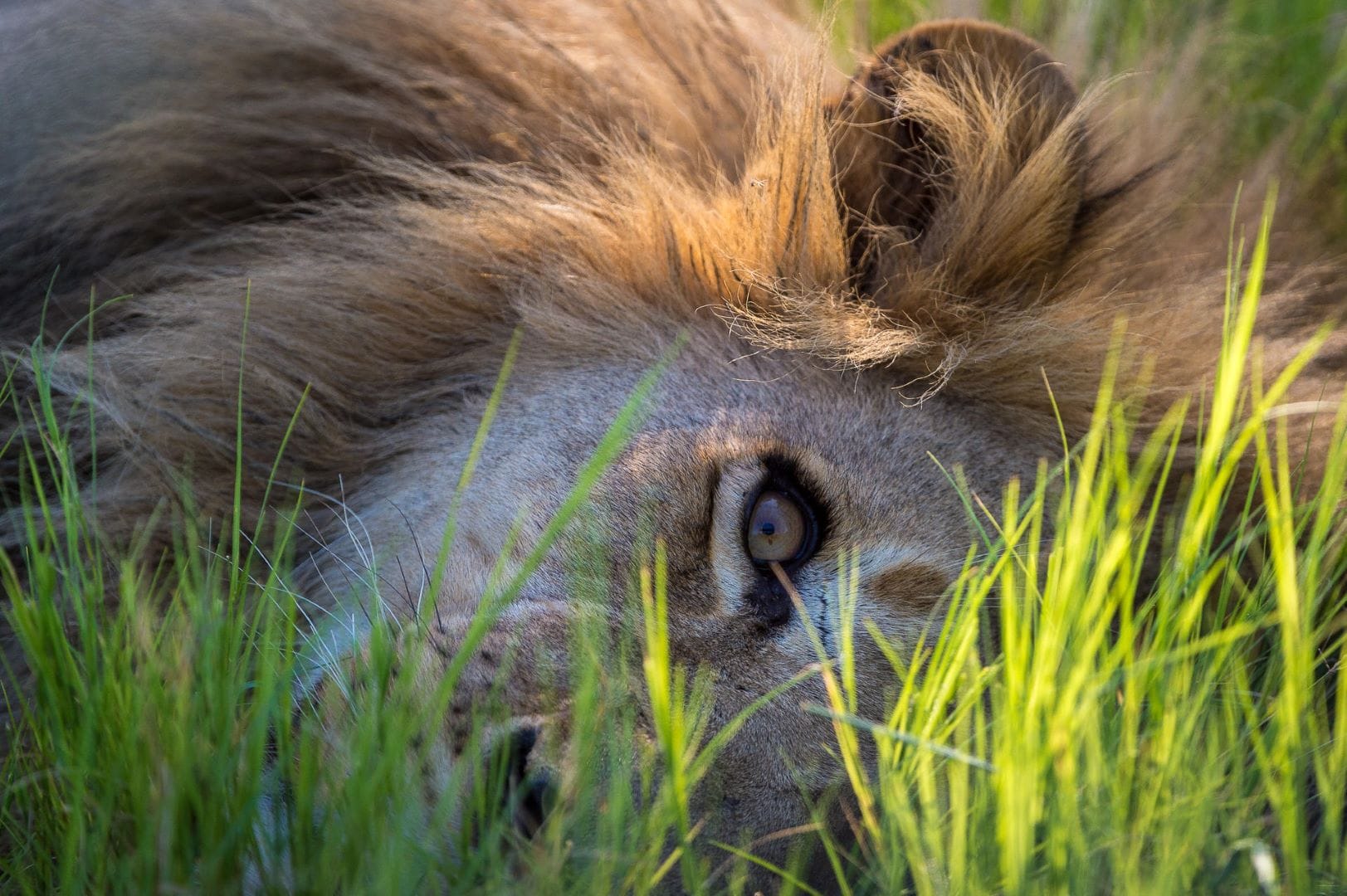 vumbura_2015-03-303e1