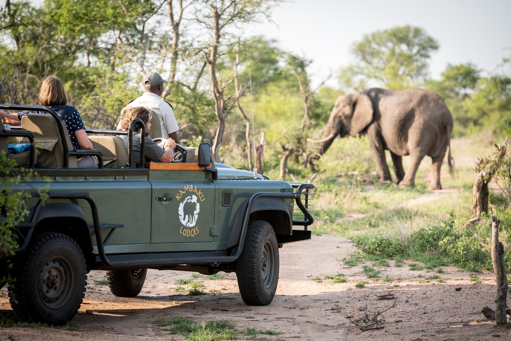 Greater Kruger, South Africa