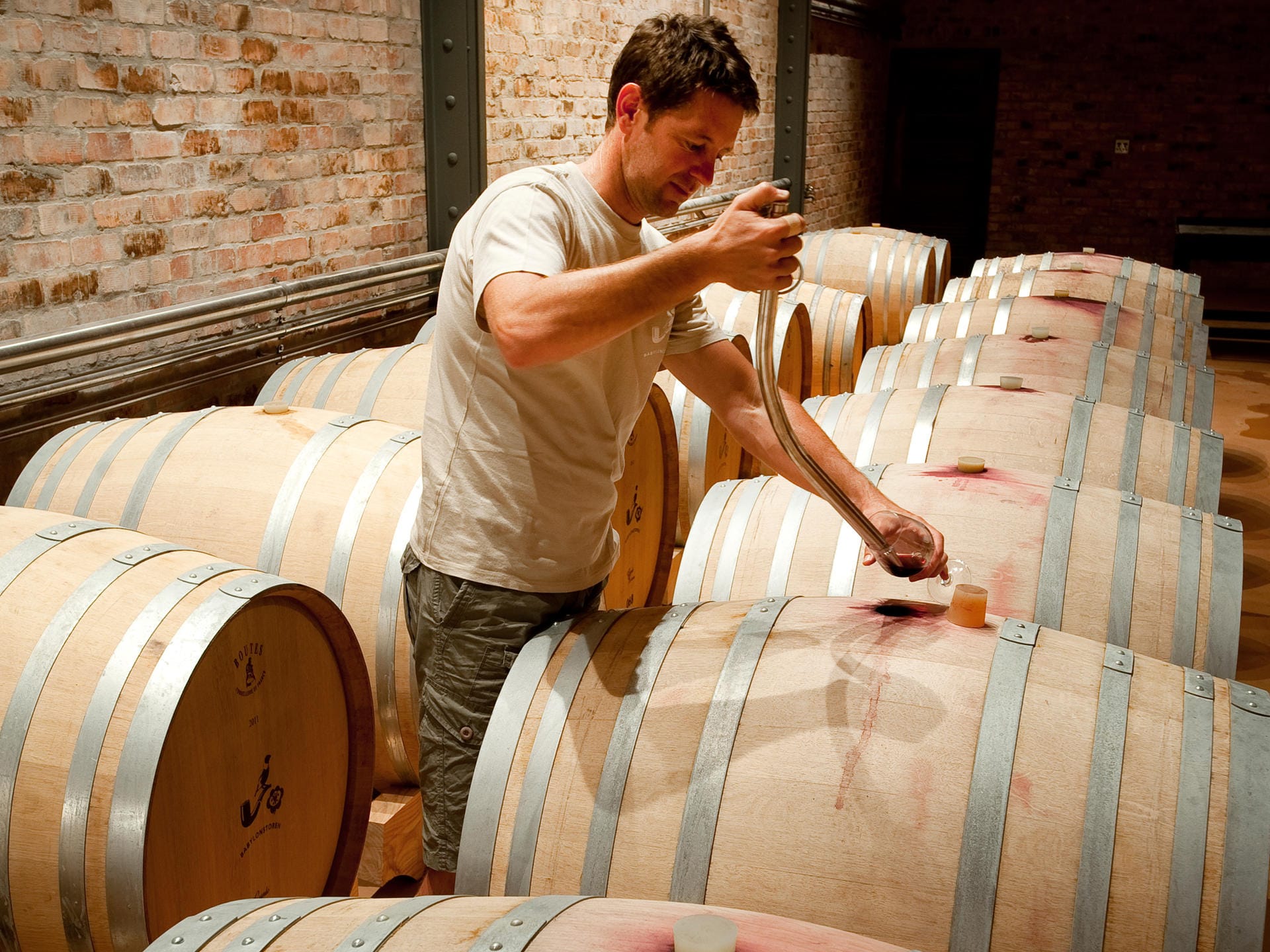 Cape Winelands, South Africa