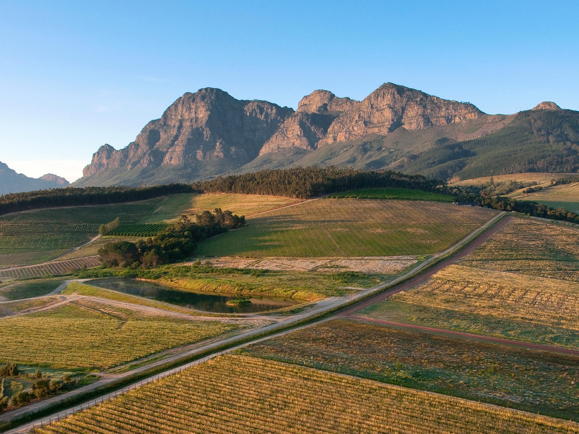 Cape Winelands, South Africa