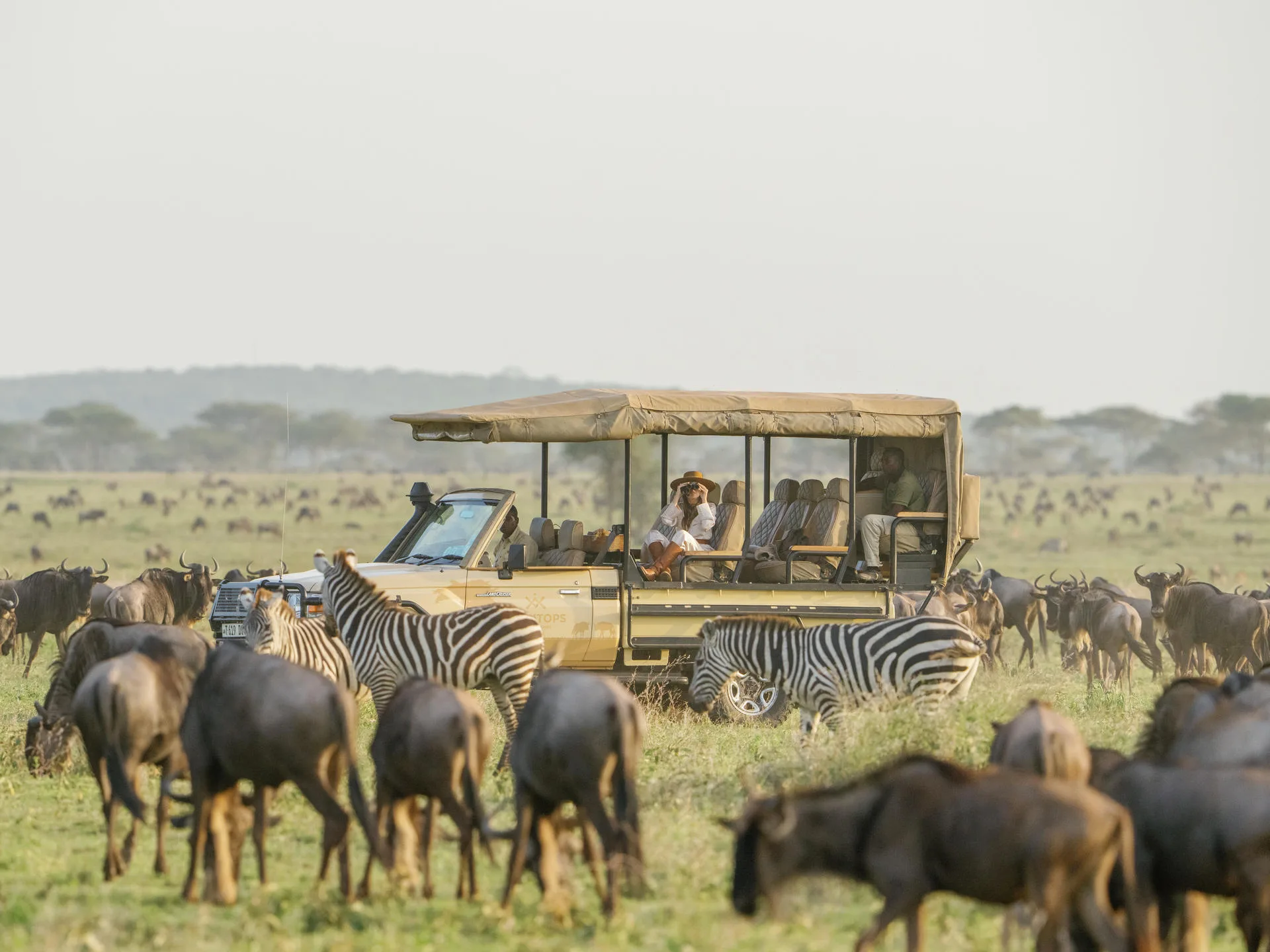 5 Best Safari Activities to Experience in Africa
