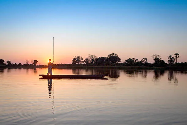 Best Time to Visit the Okavango Delta – Seasonal Guide & Safari Insights