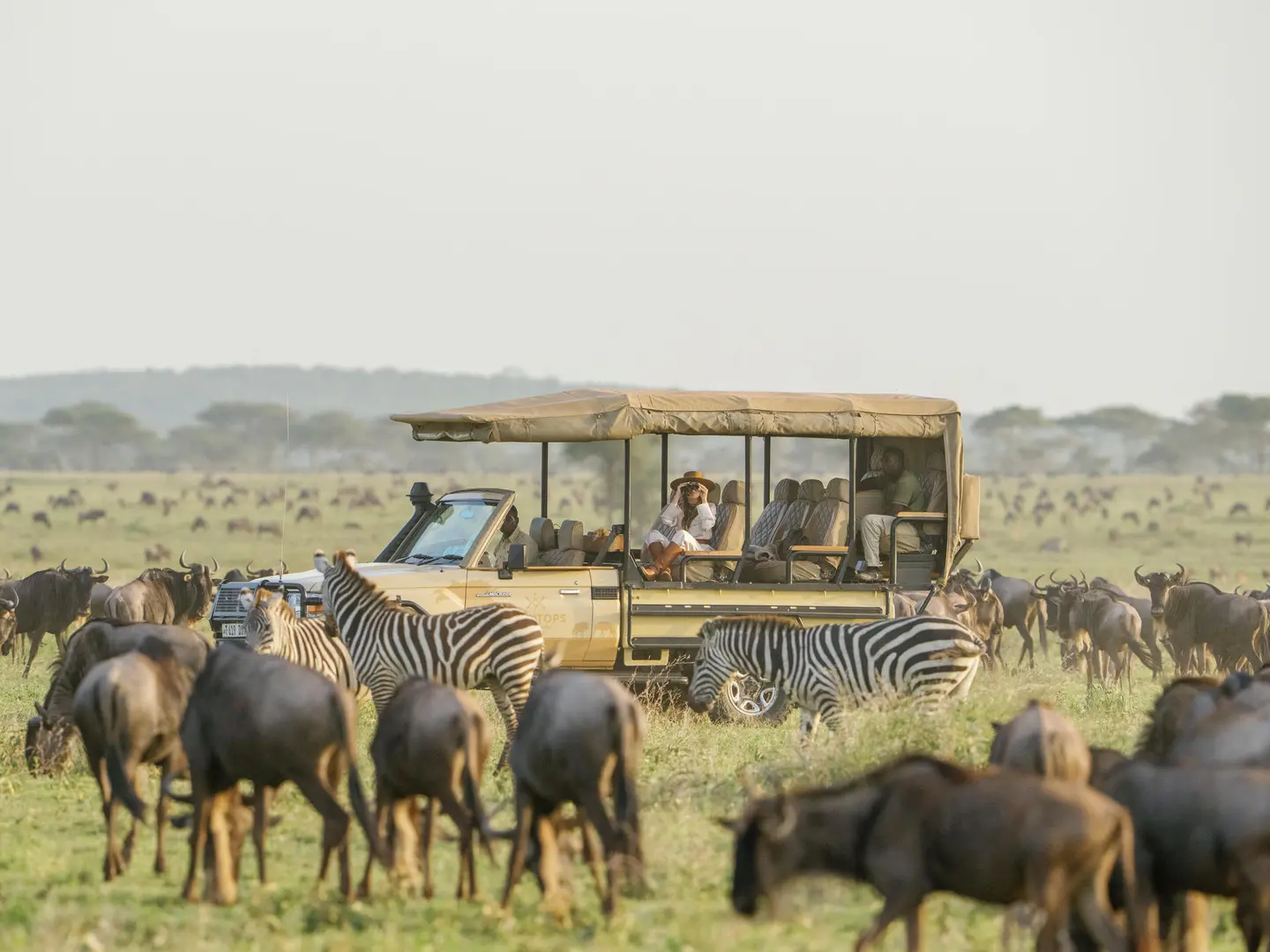 Snyman Safaris Game Drive