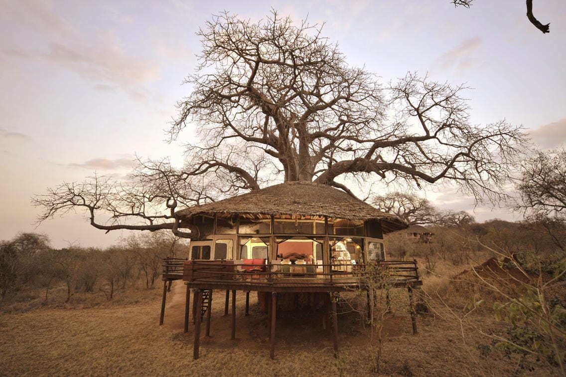 Tarangire Treetops