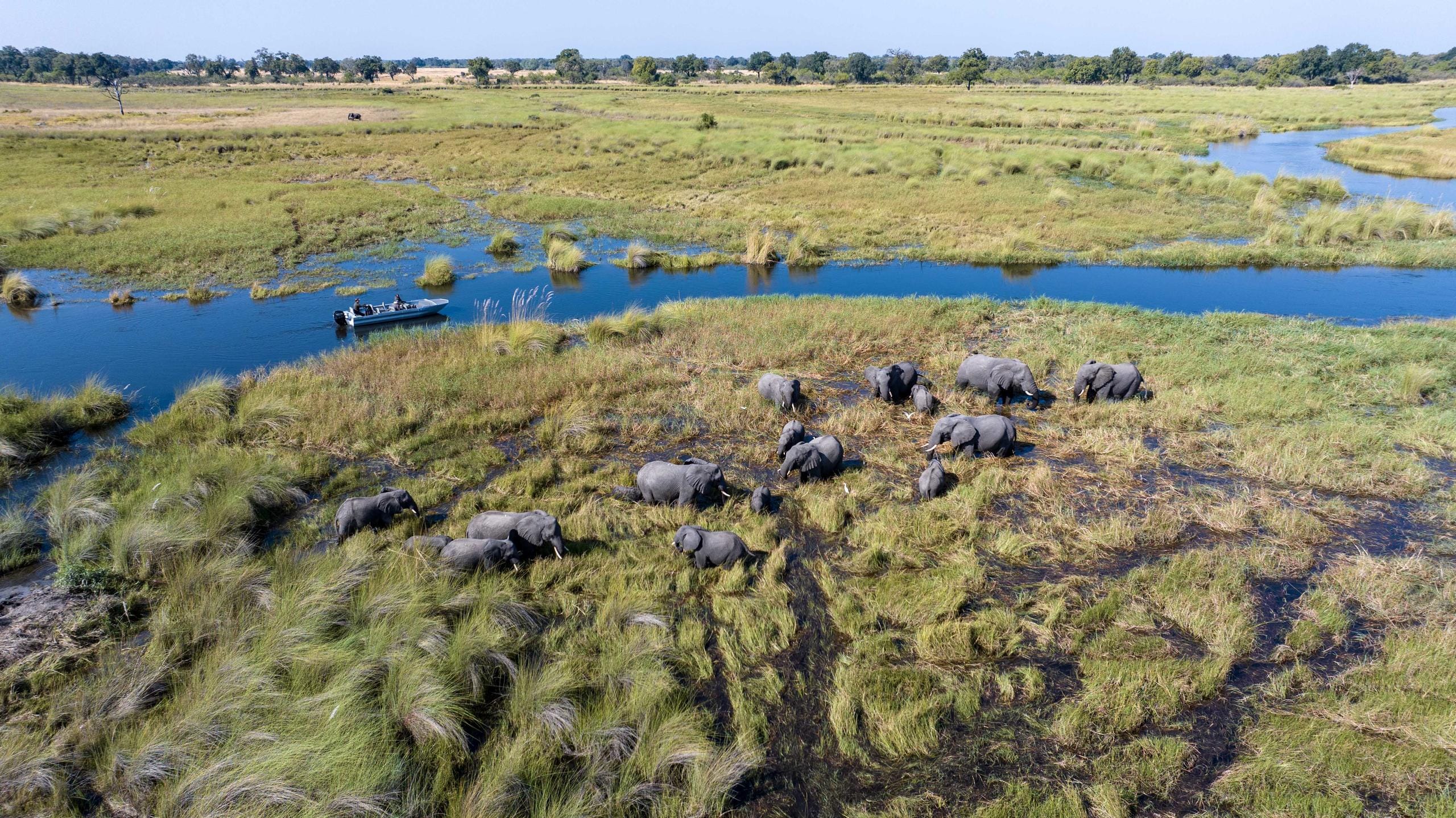 Botswana Safaris luxury wildlife experiences