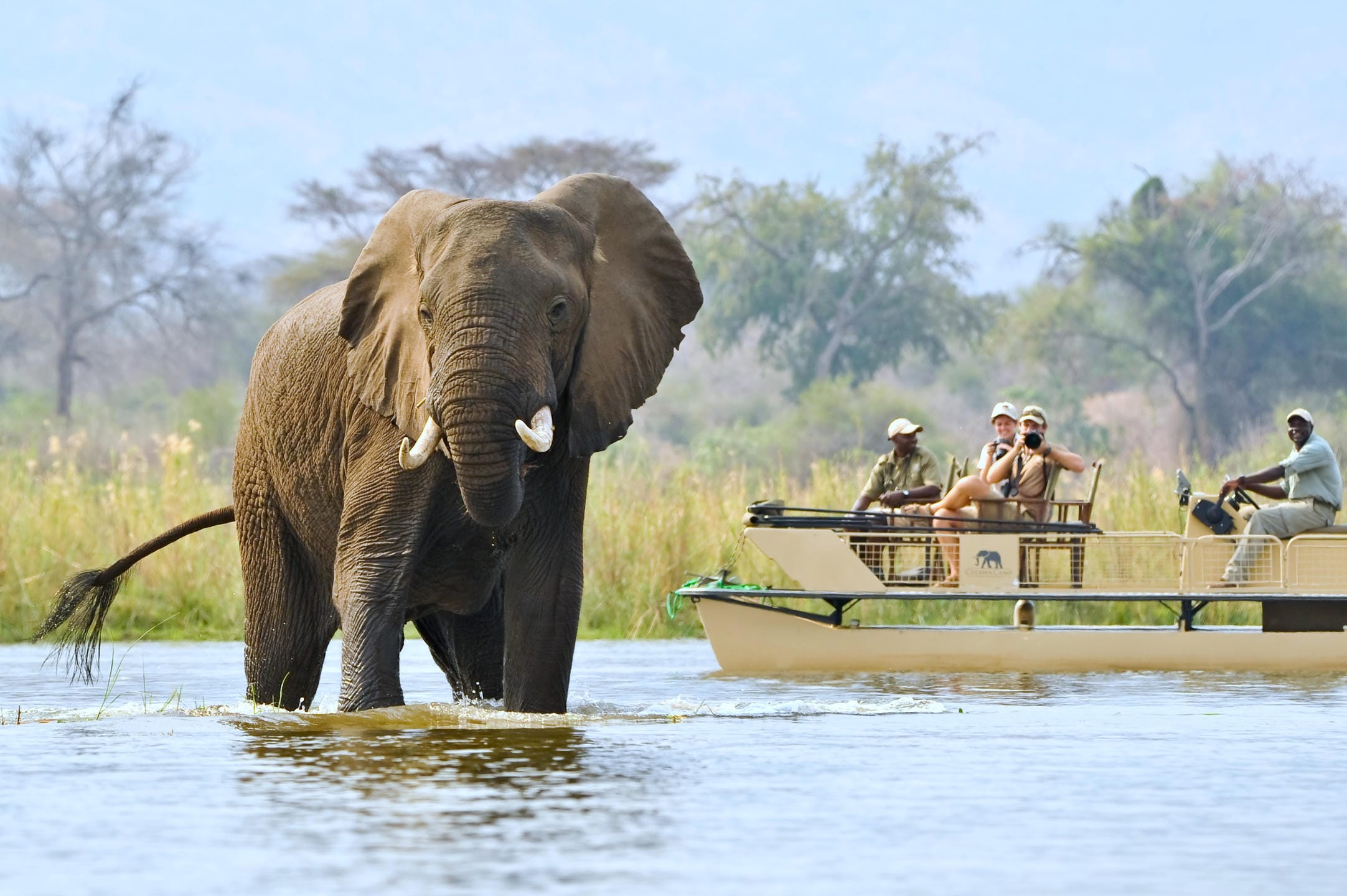 Zambia Safaris explore South Luangwa and Lower Zambezi